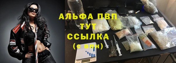 стафф Володарск