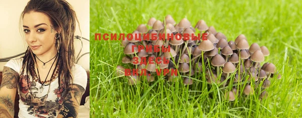 стафф Володарск