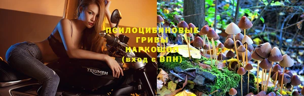 стафф Володарск