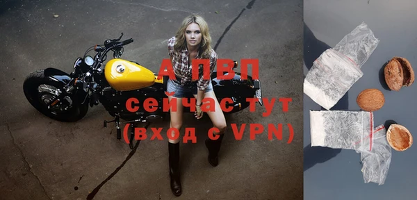 стафф Володарск
