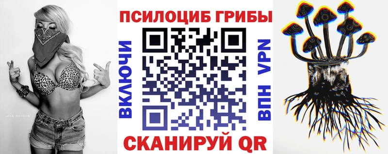 что такое   Знаменск  Галлюциногенные грибы Magic Shrooms 